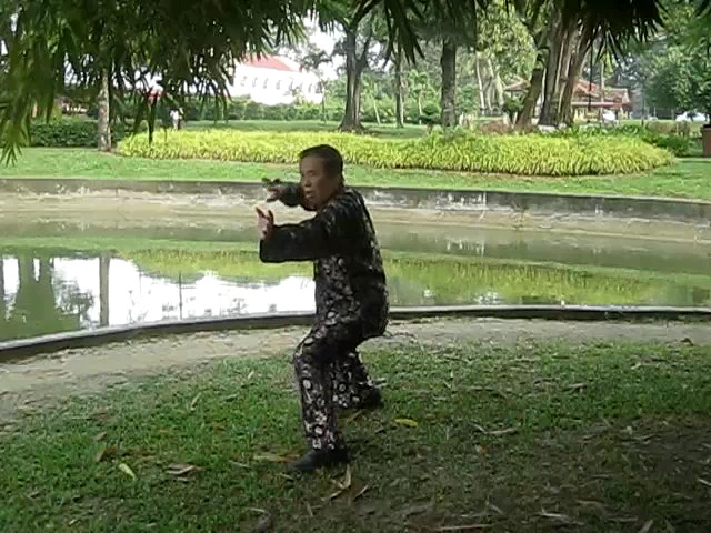 Shaolin 72 Chin-Na Techniques 2015